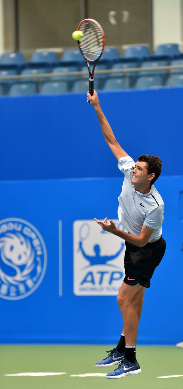 的阵营中 的阵营中