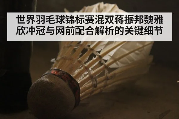 世界羽毛球锦标赛混双蒋振邦魏雅欣冲冠与网前配合解析的关键细节