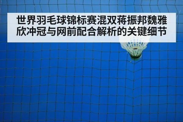 badminton net shot
