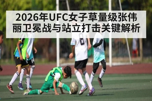 2026年UFC女子草量级张伟丽卫冕战与站立打击关键解析